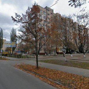 Zhmerynska Street, 28, Kyiv: photo