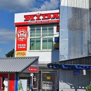 Andriia Malyshka Street, 4/1 ، كييف: صورة