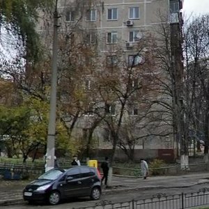 Bohdana Havrylyshyna Street, 5, Kyiv: photo