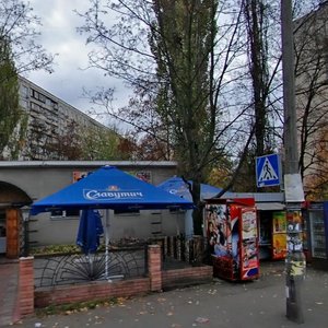 Anatoliia Solovianenka Street, 8А, Kyiv: photo