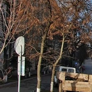 Nahirna Street, 22 ، كييف: صورة