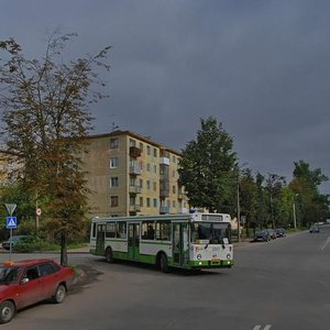 Vokzalnaya Street, 44, Pskov: photo