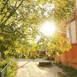 Profsoyuznaya ulitsa, 8А, Bor: photo
