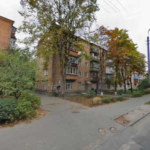 Volynska Street, 6, Kyiv: photo