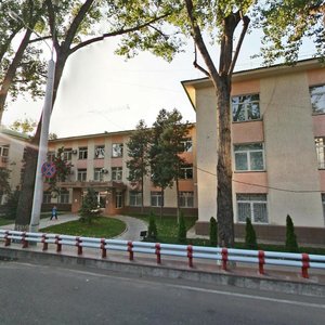 Kanysh Satbayev Street, 29Д, Almaty: photo