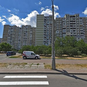 Vyshniakivska Street, 6А, Kyiv: photo