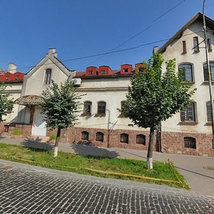 Horodotska vulytsia, 118, Lviv: photo