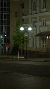 Moskovskaya Street, 27, Penza: photo