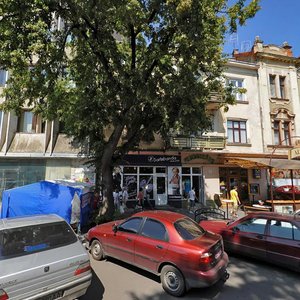 Ploshcha Shandora Petefi, 12, Uzhhorod: photo