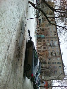 Pavlov kóshesi, 36, Pavlodar: photo