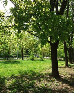 Ulitsa Shmidta, 9А, : foto