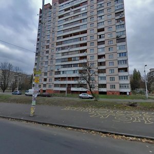 Lesia Kurbasa Avenue, No:17, Kiev: Fotoğraflar