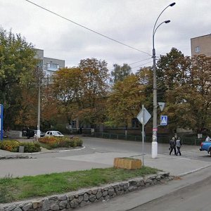 Ivana Mazepy Avenue, 11, Vyshhorod: photo