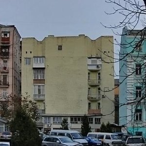 Saksahanskoho Street, 129В, Kyiv: photo