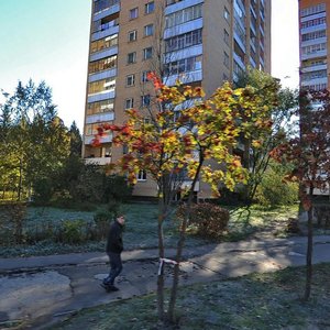 Pontekorvo Street, 15, Dubna: photo