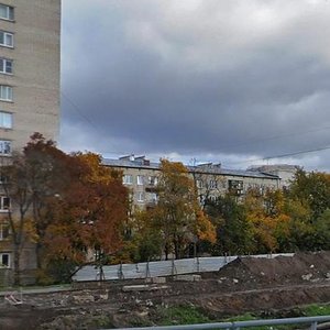 Chyornoy Rechki Embankment, 59к1 ، سان بطرسبرغ: صورة
