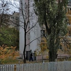 Zodchykh Street, 56, Kyiv: photo