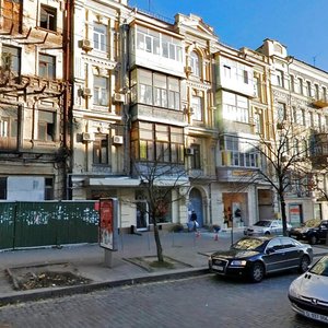 Velyka Vasylkivska Street, 41, Kyiv: photo