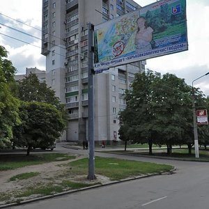 Vulytsia Hvardiitsiv-Shyronintsiv, 50/29, Kharkiv: photo