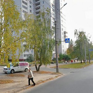 Vulytsia Rokosovskoho, 22А, Chernihiv: photo