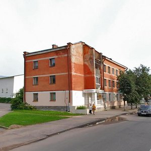 Sovetskaya Street, 48 ، : صورة