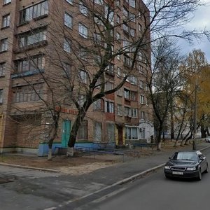 Dehtiarivska Street, 43/5, Kyiv: photo