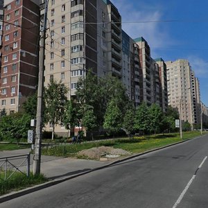 Kamyshovaya Street, 2к2, Saint Petersburg: photo