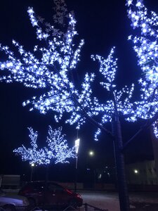 Prospekt Komarova, 2/2, : foto