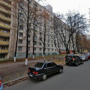 Oleksy Tykhoho Street, 3, Kyiv: photo