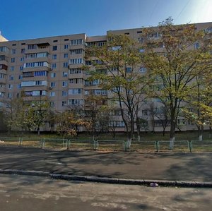 Obolonskyi Avenue, 40, Kyiv: photo