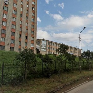 Dobrovolskogo Street, 20 ، فلاديفوستوك: صورة