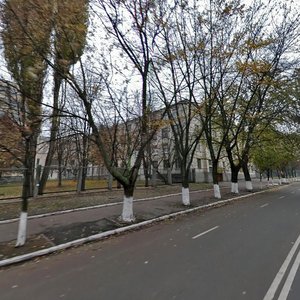 Liubomyra Huzara Avenue, 1к2, Kyiv: photo