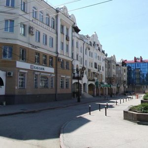 Chapaevskaya Street, 140, Samara: photo