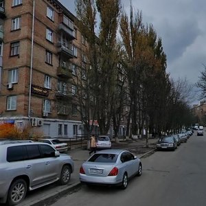 Druzhby Narodiv Boulevard, 21, Kyiv: photo