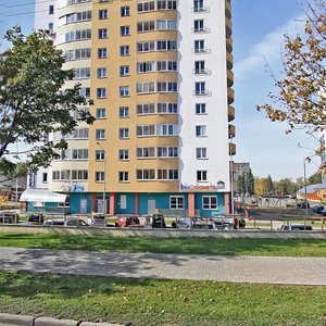 Prytyckaga Street, 2к1, Minsk: photo