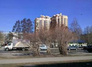 Новосибирск, Российская улица, 8: фото