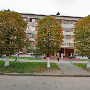 Khimichna vulytsia, 49А, Lviv: photo
