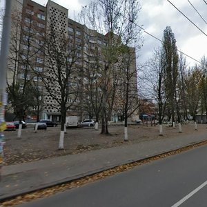 Yakuba Kolasa Street, 12, Kyiv: photo