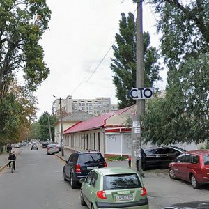 Volodymyra Sikevycha Street, 11, Kyiv: photo