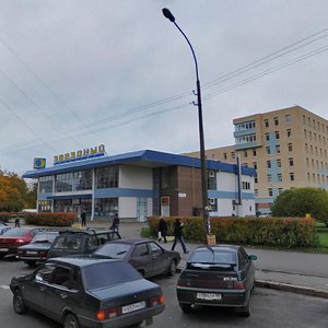 Pulkovskaya Street, 14, Saint Petersburg: photo