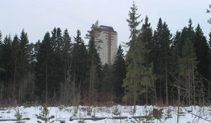 Zelenograd, No:к320, Zelenograd: Fotoğraflar