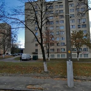 Yuriia Illienka Street, 89, Kyiv: photo