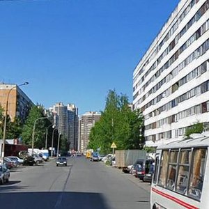 Cherkasova Street, 11к1, Saint Petersburg: photo