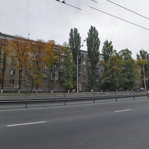 Chokolivskyi Boulevard, 34, Kyiv: photo