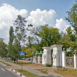 Воронеж, Улица Богдана Хмельницкого, 32: фото
