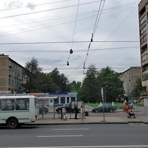 Narodnaya Street, 8А, Saint Petersburg: photo