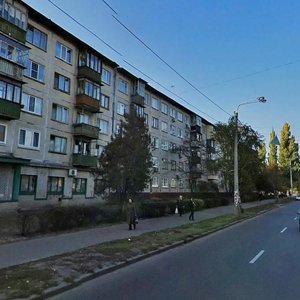 Ostafiia Dashkevycha Street, 11, Kyiv: photo