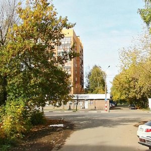 Kultury Street, 113, Nizhny Novgorod: photo