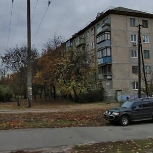 Liubomyra Huzara Avenue, 18/25, Kyiv: photo