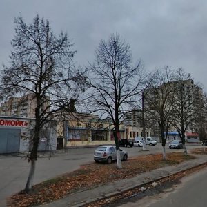 Pidlisna Street, 8А, Kyiv: photo